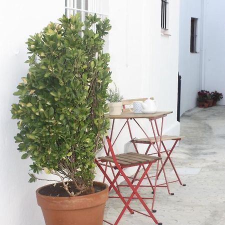 La Moradita Vejer de la Frontera Εξωτερικό φωτογραφία